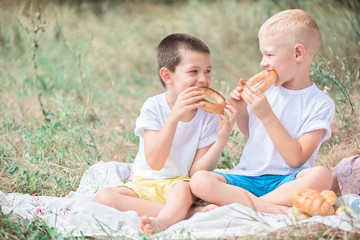 Two brothers little boys on the picnic in forest