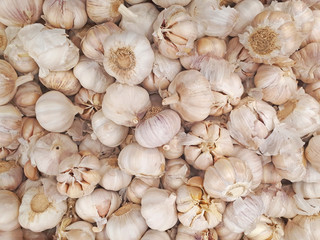 White garlic head heap top view. White garlic pile texture. Fresh garlic on market table closeup photo. Vitamin healthy food spice image. Spicy cooking ingredient picture. Pile of white garlic heads.