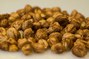 Right Hazelnuts kernels in the background.