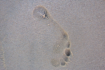 Fototapeta na wymiar human footprint in the sand