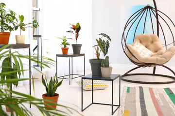 Living room interior with swing chair and indoor plants. Trendy home decor