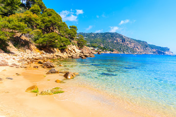 Beautiful sandy Aiguablava beach, Costa Brava, Catalonia, Spain