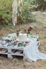 Wedding cake in the style of a deer with succulent. Outdoor wedding