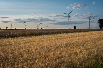 sunset over field with oat and wind turbines
