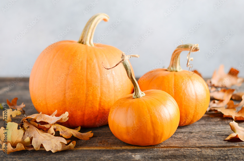 Wall mural autumn background with pumpkins on a rustic wooden table.