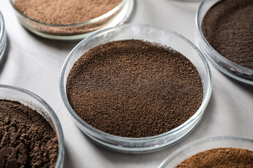 Petri dishes with soil samples on grey table, closeup. Laboratory research