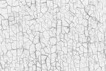 Painted surface, cracked with age. Black and white photo. Background image