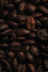 Naklejka premium Coffee Beans