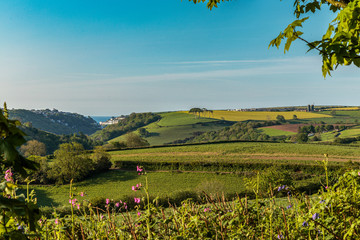 Cornish countryside looking out to the sea at Looe