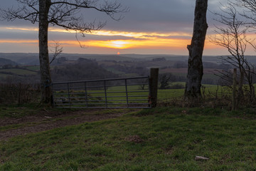 Cornish countryside sunset gate and trees