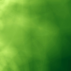 Fractal image abstract green forest ecology background