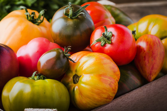 Colorful tomatoes, fresh autumn vegetables