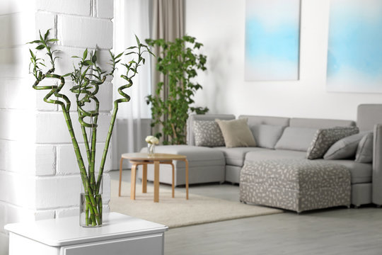 Vase With Bamboo Stems On Cabinet In Living Room, Space For Text