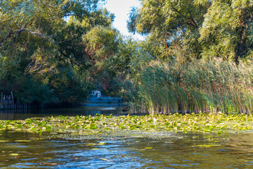 Dnieper floods on the Dnieper River