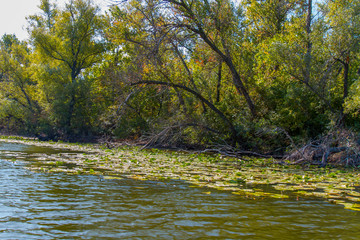 Dnieper floods on the Dnieper River