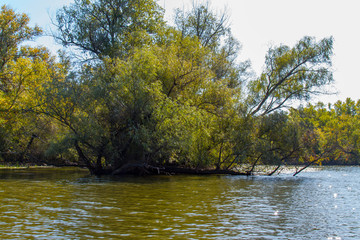 Dnieper floods on the Dnieper River