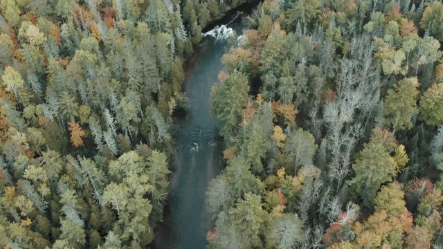 Brule River in fall