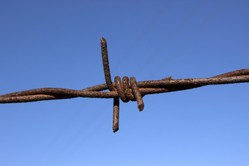 Rusty barbed wire