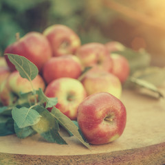 Red apples with leaves in sunlight on the wood table close up
