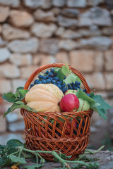 Pumpkin, red apples, pears and grapes in a basket on a wooden chair in the garden
