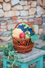 Autumn harvest in the wicker basket on the wooden chair