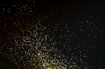 Black background with golden sparkles. Blurred  effect. Concept for festive background or for project