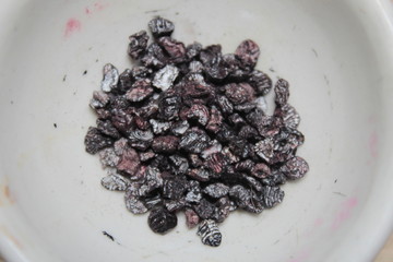 Grana cochinilla