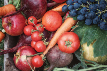 Autumn harvest - fresh beets, carrots, apples, tomatoes, grapes, pumpkin, toned image