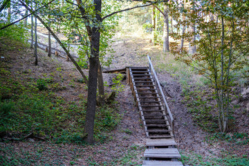 wet wooden footpath in green forest