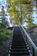 Obraz premium wet wooden footpath in green forest