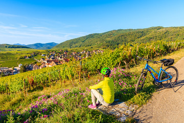 Young woman cyclist sitting among vineyards and looking at Riquewihr village on Alsatian Wine...