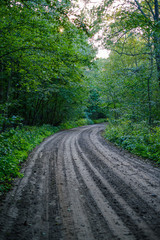 Fototapeta premium dirty gravel road in green forest with wet trees and sun rays