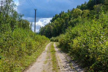 Fototapeta na wymiar dirty gravel road in green forest with wet trees and sun rays