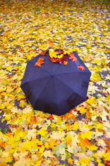black umbrella in rainy weather on the background of yellow autumn foliage