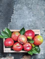 Top view of seven red apple with leaf in wooden box.