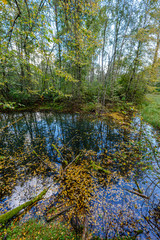 colorful autumn evening scene in countryside by the river with old leaves in