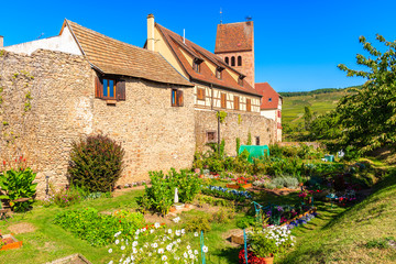 Fototapeta na wymiar Old houses in Kientzheim village on Alsatian Wine Route, France