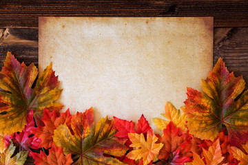 Old White Paper With Copy Space. Colorful Leaves Autumn Decoration