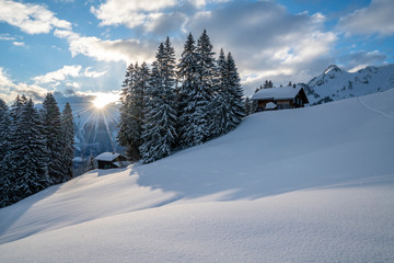 Tief verschneite Winterlandschaft