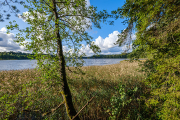 colorful autumn evening scene in countryside by the river with old leaves in