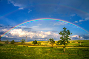 Beautiful landscape with rainbow, green grass field and trees - 293219132