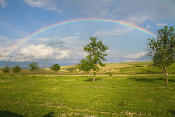 Beautiful landscape with rainbow, green grass field and trees - 293219168