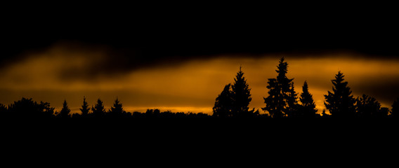 View to the sunset sky. Black and orange clouds.   