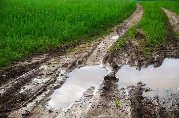 Off road in the green field with puddle. Closeup