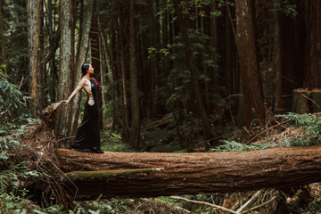Asian tattooed woman in black evening dress poses on a fallen redwood tree in the forest