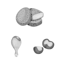 Isolated object of cuisine and bird icon. Collection of cuisine and poultry stock vector illustration.