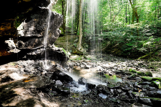 waterfall in the forest