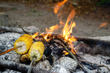 Two ears of corn roasting on the fire. The foil wrapped potatoes, which is prepared in the hot coals of the fire.