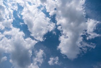 Beautiful various forms clouds in the high sky