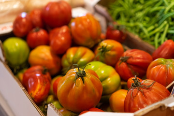 Fototapeta na wymiar Tomates de huerto